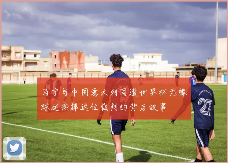 马宁与中国意大利同遭世界杯无缘球迷热捧这位裁判的背后故事